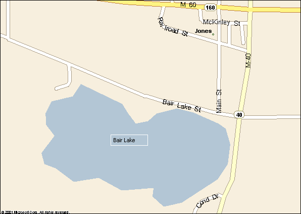 Bair Lake, Jones, Michigan