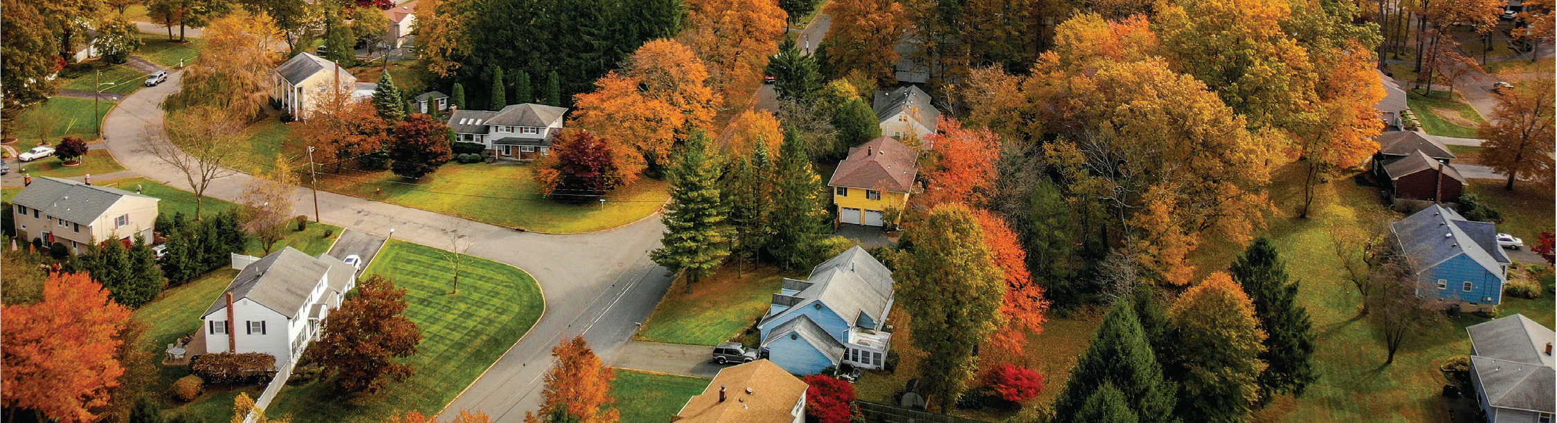 Why Choose Cressy Everett Real Estate